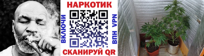 Где купить наркоту Кстово ГАШ МДМА Меф гидра ссылка АМФ Псилоцибиновые грибы Канабис