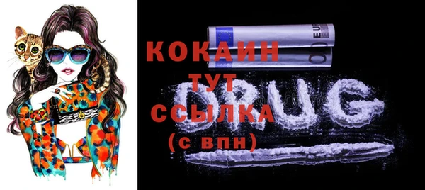 стафф Белокуриха