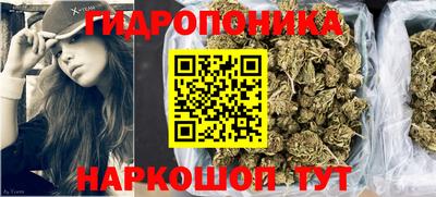 дурь Камышлов