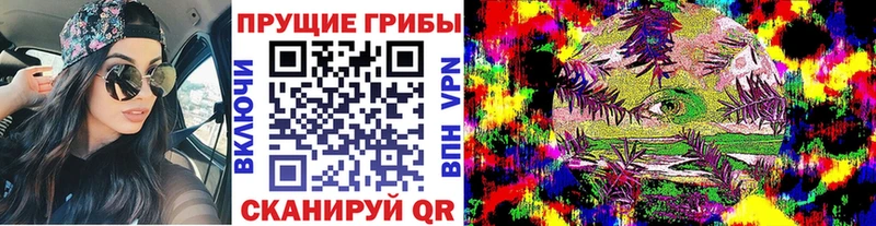 Галлюциногенные грибы ЛСД  Кстово 