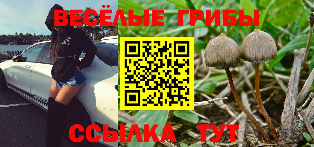 Галлюциногенные грибы мухоморы  Галлюциногенные грибы мухоморы  Кстово  Вход с VPN 