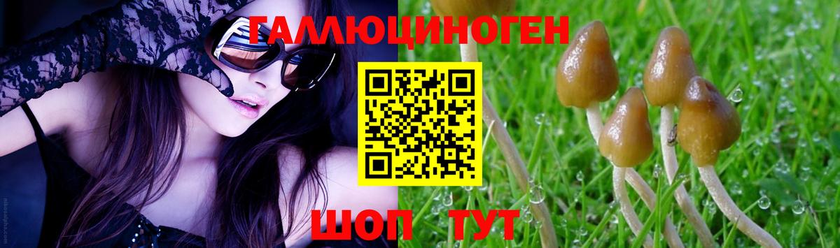 Псилоцибиновые грибы мухоморы Кстово